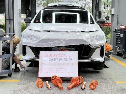 trường hợp công ty mới nhất về Công việc lắp đặt. Nâng cấp GAC Trumpchi Shadow Leopard với bộ đồ thể thao EDDY